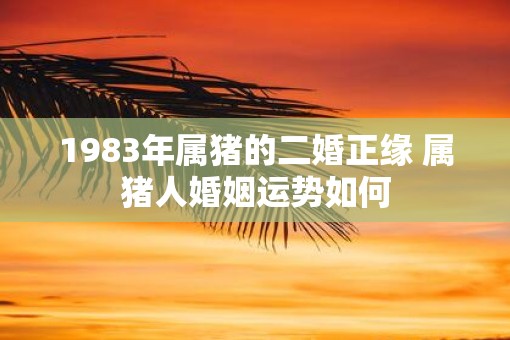 1983年属猪的二婚正缘 属猪人婚姻运势如何
