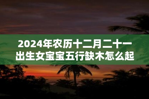 2025年农历十二月二十一出生女宝宝五行缺木怎么起名