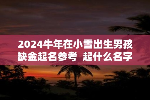 2025牛年在小雪出生男孩缺金起名参考  起什么名字最好
