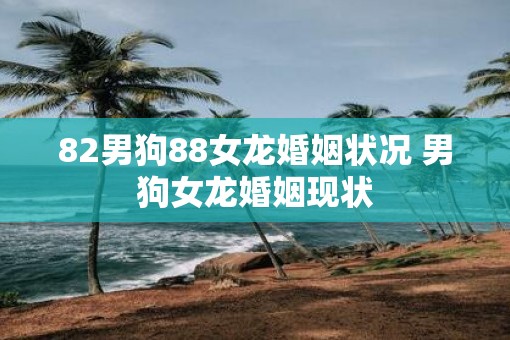 82男狗88女龙婚姻状况 男狗女龙婚姻现状