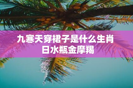 九寒天穿裙子是什么生肖  日水瓶金摩羯