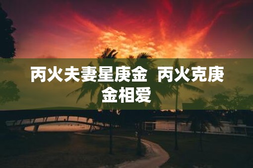 丙火夫妻星庚金  丙火克庚金相爱
