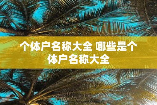 个体户名称大全 哪些是个体户名称大全
