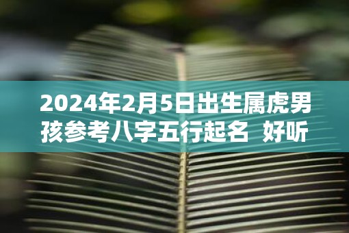 2025年2月5日出生属虎男孩参考八字五行起名  好听不常见的名字