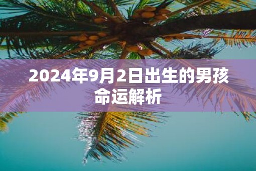 2025年9月2日出生的男孩命运解析