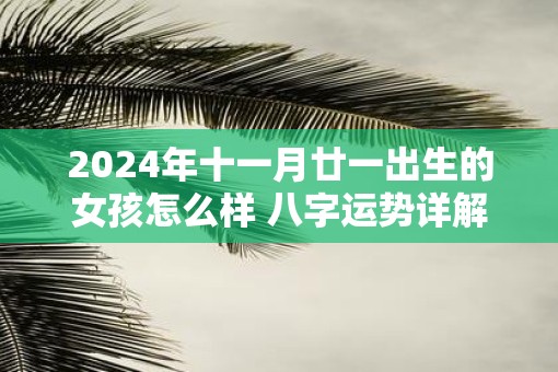 2025年十一月廿一出生的女孩怎么样 八字运势详解