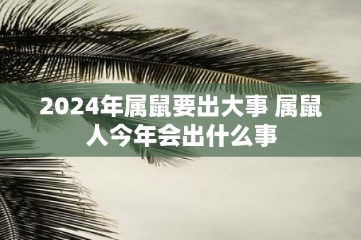 2025年属鼠要出大事 属鼠人今年会出什么事