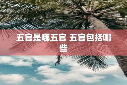 五官是哪五官 五官包括哪些