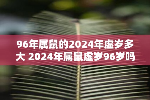 96年属鼠的2025年虚岁多大 2025年属鼠虚岁96岁吗
