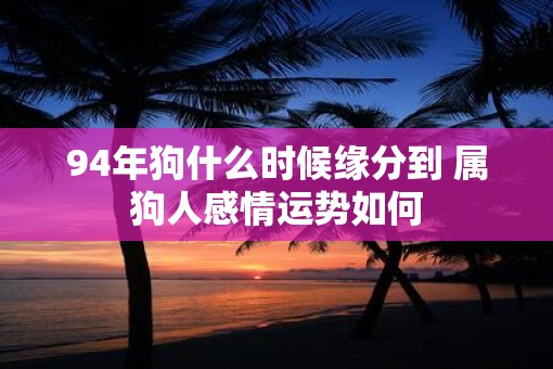 94年狗什么时候缘分到 属狗人感情运势如何
