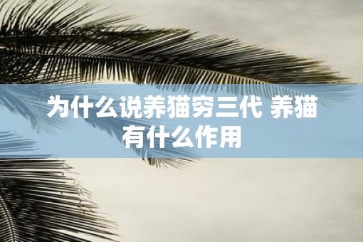 为什么说养猫穷三代 养猫有什么作用