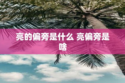 亮的偏旁是什么 亮偏旁是啥