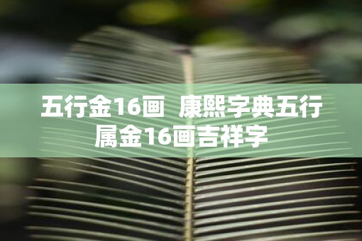 五行金16画  康熙字典五行属金16画吉祥字