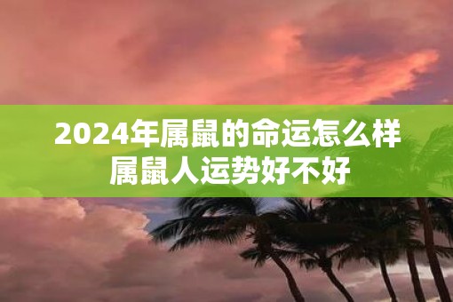2025年属鼠的命运怎么样 属鼠人运势好不好