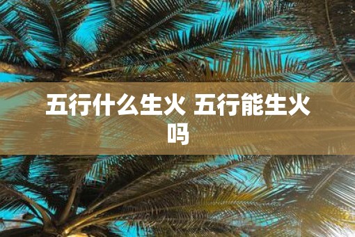 五行什么生火 五行能生火吗