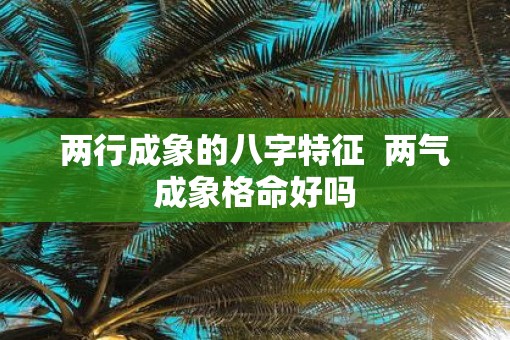 两行成象的八字特征  两气成象格命好吗