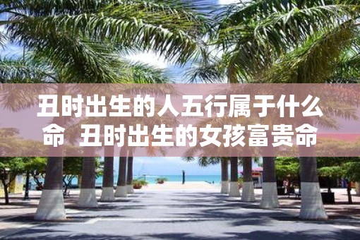 丑时出生的人五行属于什么命  丑时出生的女孩富贵命