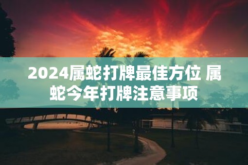 2025属蛇打牌最佳方位 属蛇今年打牌注意事项