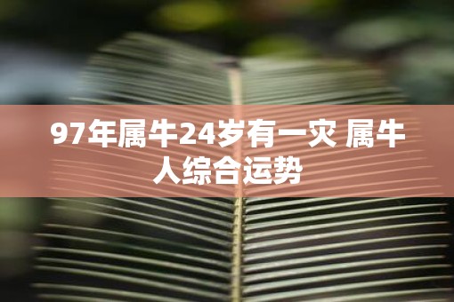 97年属牛24岁有一灾 属牛人综合运势