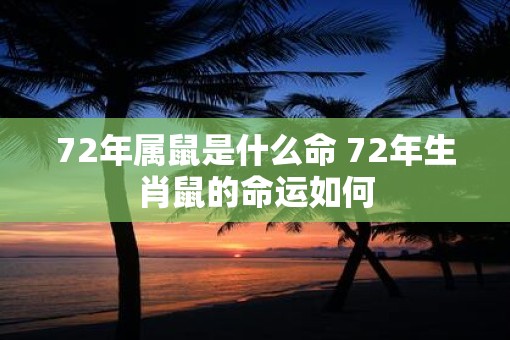 72年属鼠是什么命 72年生肖鼠的命运如何