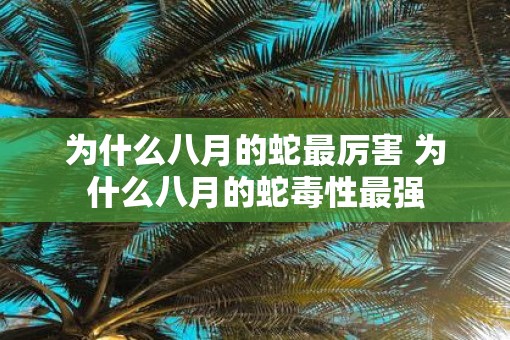 为什么八月的蛇最厉害 为什么八月的蛇毒性最强