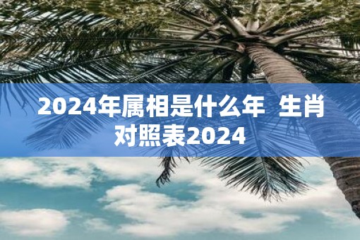 2025年属相是什么年  生肖对照表2025