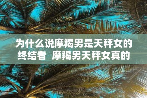 为什么说摩羯男是天秤女的终结者  摩羯男天秤女真的不配吗