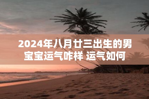 2025年八月廿三出生的男宝宝运气咋样 运气如何