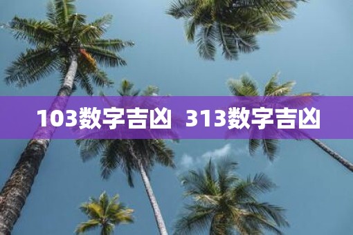 103数字吉凶  313数字吉凶
