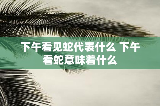 下午看见蛇代表什么 下午看蛇意味着什么 下午看见蛇代表什么 下午看蛇意味着什么