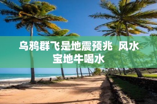 乌鸦群飞是地震预兆  风水宝地牛喝水