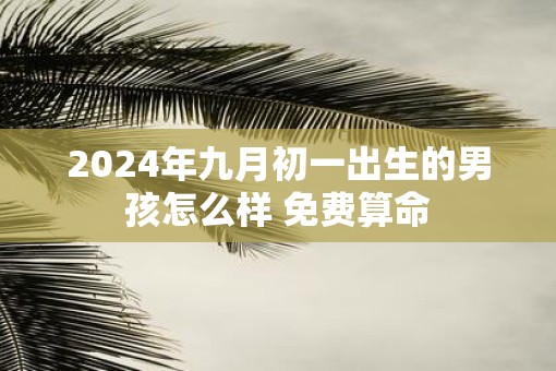 2025年九月初一出生的男孩怎么样 免费算命 2025年九月初一出生的男孩怎么样 免费算命