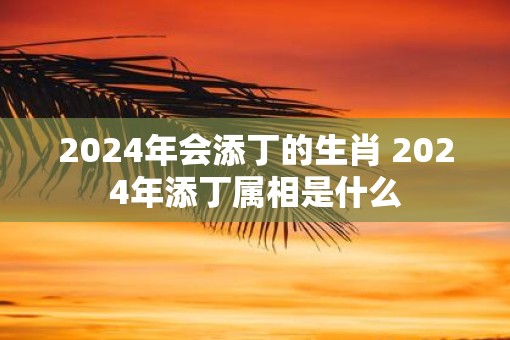 2025年会添丁的生肖 2025年添丁属相是什么