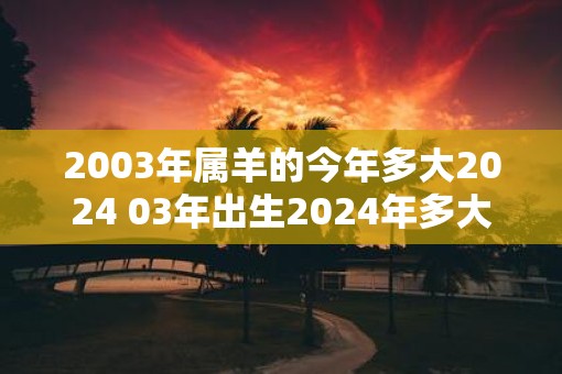 2003年属羊的今年多大2025 03年出生2025年多大年龄
