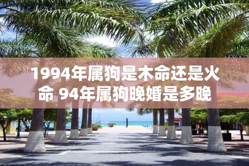 1994年属狗是木命还是火命 94年属狗晚婚是多晚