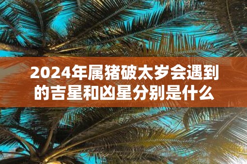 2025年属猪破太岁会遇到的吉星和凶星分别是什么