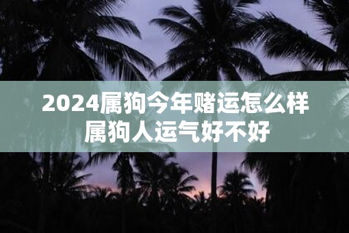 2025属狗今年赌运怎么样 属狗人运气好不好