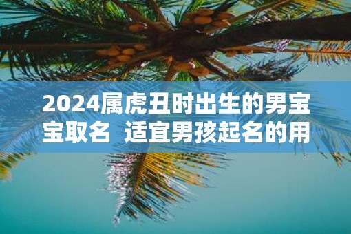 2025属虎丑时出生的男宝宝取名  适宜男孩起名的用字