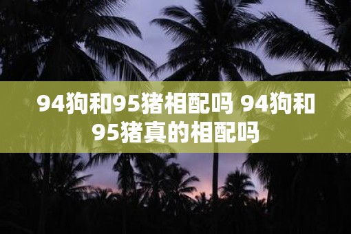94狗和95猪相配吗 94狗和95猪真的相配吗 94狗和95猪相配吗 94狗和95猪真的相配吗