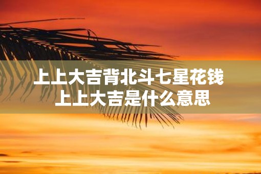 上上大吉背北斗七星花钱  上上大吉是什么意思