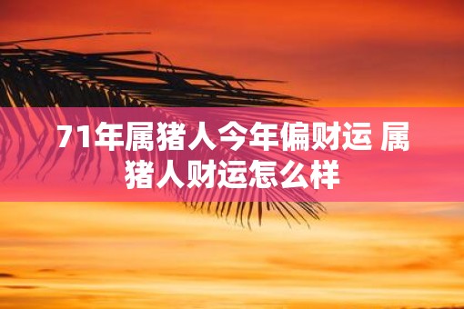 71年属猪人今年偏财运 属猪人财运怎么样