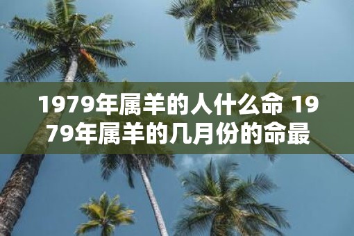 1979年属羊的人什么命 1979年属羊的几月份的命最好