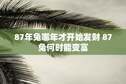 87年兔哪年才开始发财 87兔何时能变富