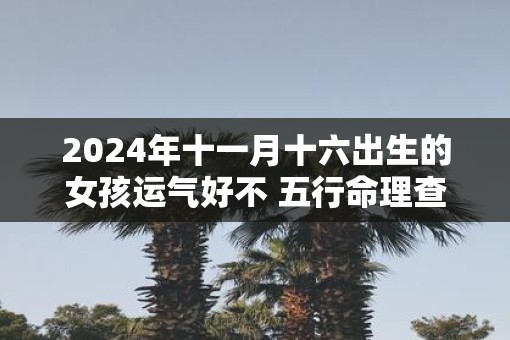 2025年十一月十六出生的女孩运气好不 五行命理查询