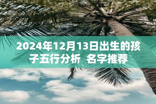 2025年12月13日出生的孩子五行分析  名字推荐