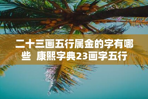 二十三画五行属金的字有哪些  康熙字典23画字五行