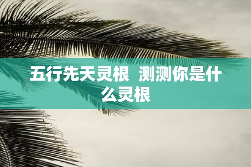 五行先天灵根  测测你是什么灵根