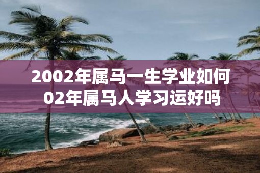 2002年属马一生学业如何 02年属马人学习运好吗