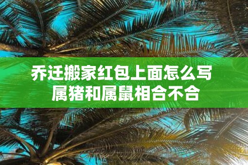 乔迁搬家红包上面怎么写  属猪和属鼠相合不合