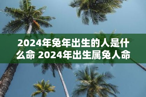 2025年蛇年出生的人是什么命 2025年出生属兔人命运如何